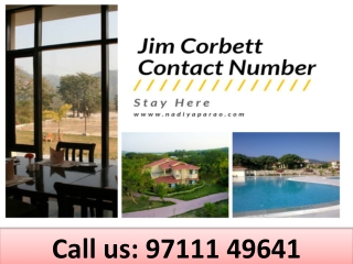 best resorts in Jim Corbett