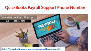 Get the best assistance for QuickBooks Payroll Support Phone Number by dialing 1 855-236-7529