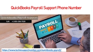Get the best assistance for QuickBooks Payroll Support Phone Number by dialing 1 855-236-7529
