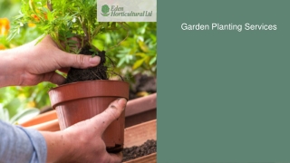 Garden Planting Services