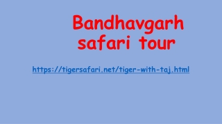 Bandhavgarh safari tour