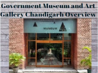 Government Museum and Art Gallery Chandigarh Overview