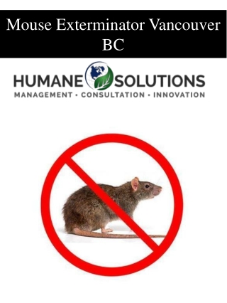 Mouse Exterminator Vancouver BC