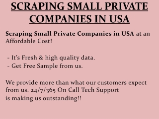 Scraping Small Private Companies in USA