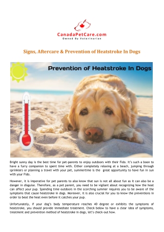 Signs, After Care And Prevention of Heatstroke In Dogs