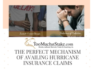 Get the complete guide to Hurricane insurance disputes