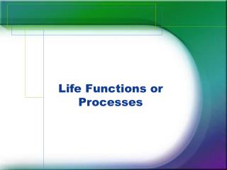 Life Functions or Processes