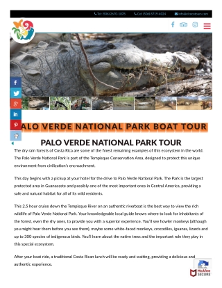 Enjoy boat tour in Palo Verde National Park