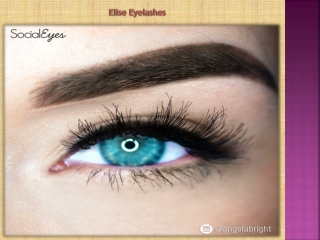Elise Eyelashes