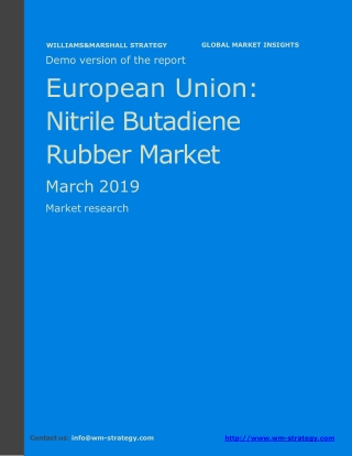 WMStrategy Demo European Union Nitrile Butadiene Rubber Market March 2019