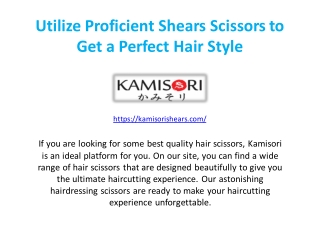 Utilize Proficient Shears Scissors to Get a Perfect Hair Style