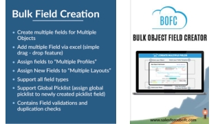 Introduction To Bulk Object Field Creator