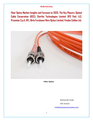 Fiber Optics Market Insights and Forecast to 2025. The Key Players: Optical Cable Corporation (OCC), Sterlite Technologi