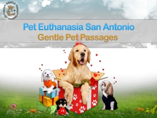 Pet Euthanasia San Antonio by Gentle Pet Passages