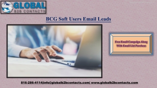 BCGSoft Users Email Leads