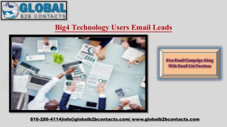 Big4 Technology Users Email Leads