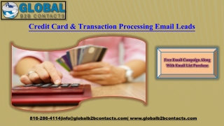 Credit Card & Transaction Processing Email Leads