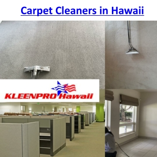 Carpet Cleaners in Hawaii