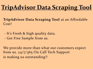 TripAdvisor Data Scraping Tool