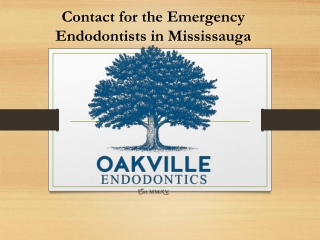 Visit for the Emergency Endodontist Oakville