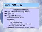 Heart - Pathology