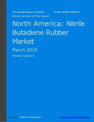 WMStrategy Demo North America Nitrile Butadiene Rubber Market March 2019