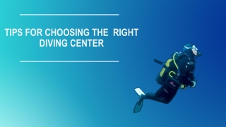 Tips for Choosing the Right Diving Center