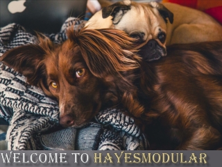 Galvanized & Steel Dog Runs Cork, Ireland| Hayes Modular