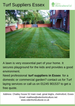 Turf Suppliers Essex