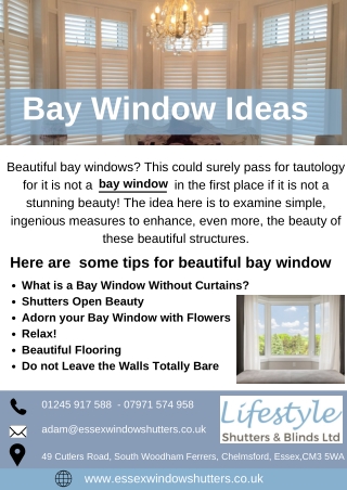 Beautiful Bay Window Ideas