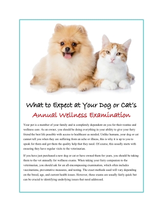 What to Expect at Your Dog or Cat’s Annual Wellness Examination