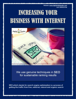 Search Engine Optimization Company - SEO Packages in Delhi