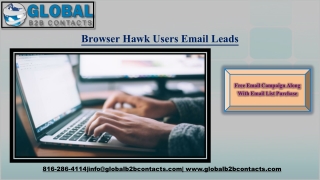 BrowserHawk Users Email Leads