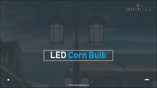 Make a Statement With Modern LED Corn Bulb