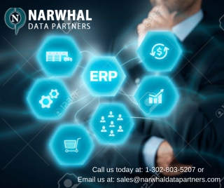 ERP Users Email List | Narwhal Data Partners in usa