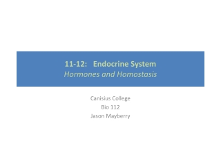 11-12: Endocrine System Hormones and Homostasis