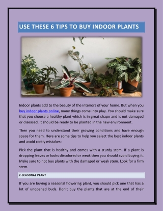 Use these 6 Tips to Buy Indoor Plants