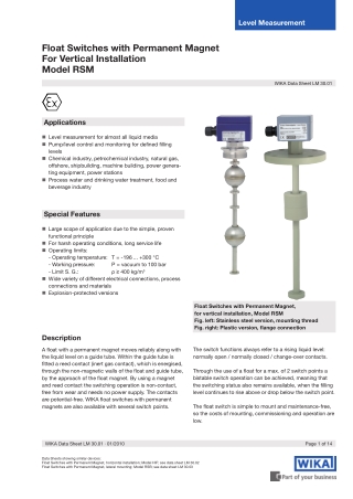 Wika Float Switches with Permanent Magnet | Seeautomation & Engineers