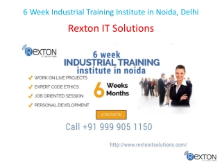 6 Week Industrial Training Institute in Noida, Delhi