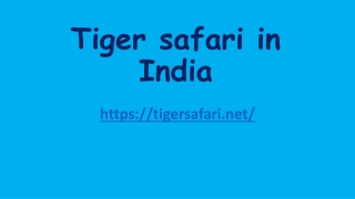 Tiger safari in India