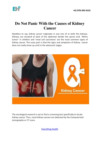 Do Not Panic With The Causes Of Kidney Cancer