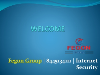 Fegon Group | 8445134111 | Internet Security