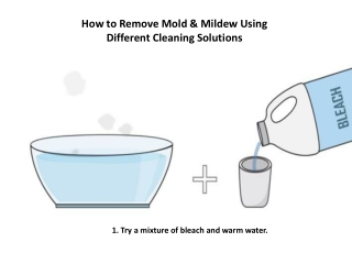 How to Remove Mold & Mildew Using Different Cleaning Solutions