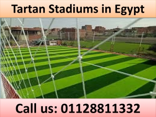 Tartan Stadiums in Egypt