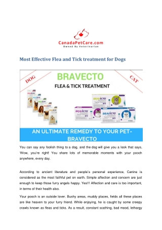 An Ultimate Remedy To Your Pet- Bravecto