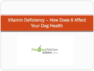 Vitamin Deficiency – How Does It Affect Your Dog Health
