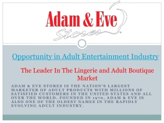 Opportunity in Adult Entertainment Industry