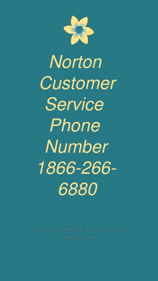 Norton Customer Service Phone Number