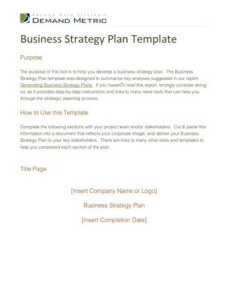 Business Strategy Plan