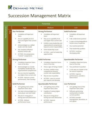 Succession Management Matrix